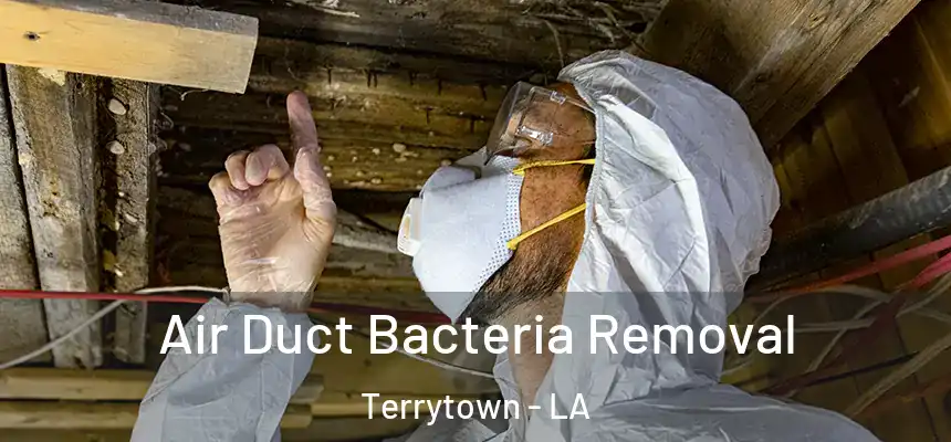Air Duct Bacteria Removal Terrytown - LA