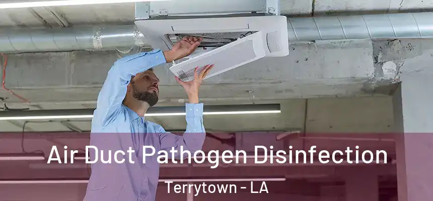  Air Duct Pathogen Disinfection Terrytown - LA