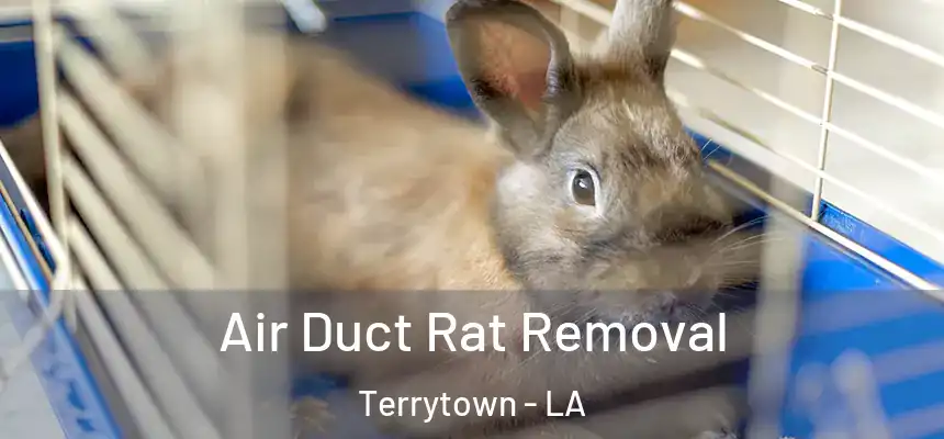  Air Duct Rat Removal Terrytown - LA
