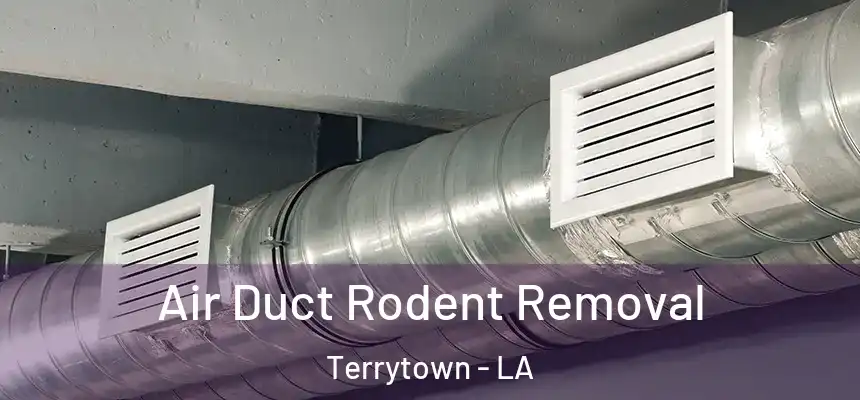  Air Duct Rodent Removal Terrytown - LA