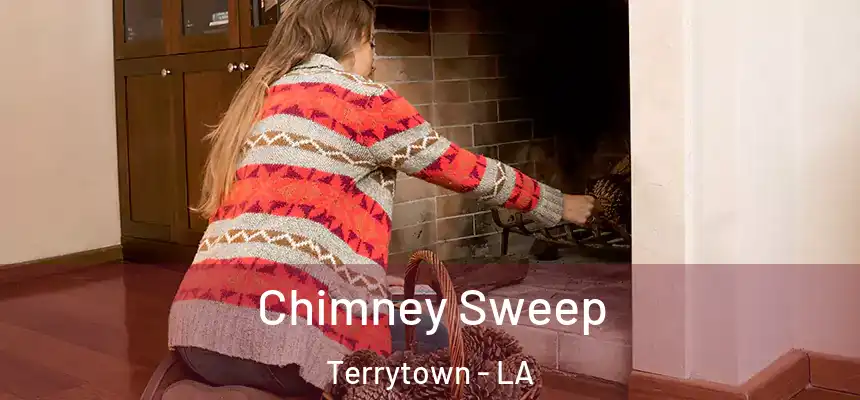  Chimney Sweep Terrytown - LA