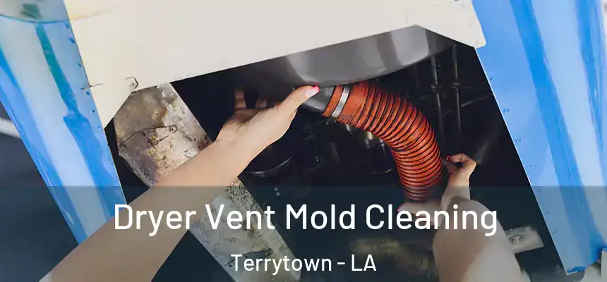  Dryer Vent Mold Cleaning Terrytown - LA