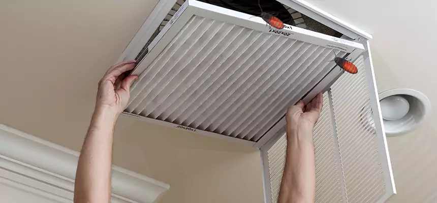 Preventive Cockroach-Proofing for Ducts in Terrytown