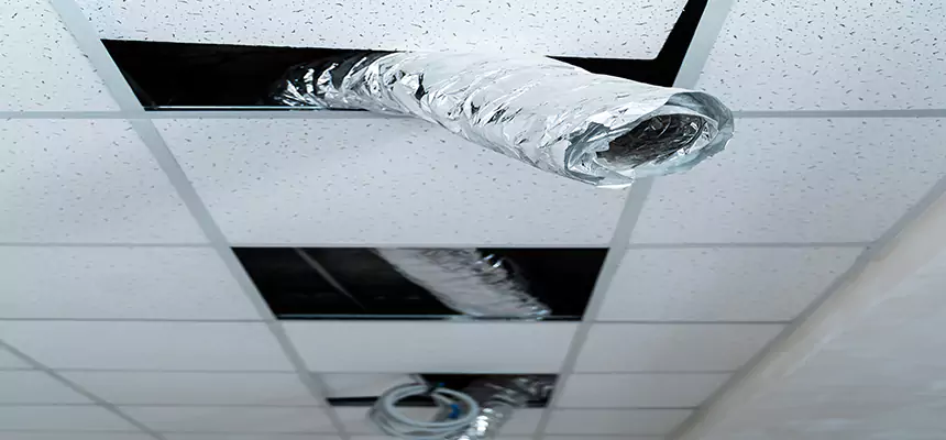 Our Air Duct Pet Hair Removal Services in Terrytown, LA