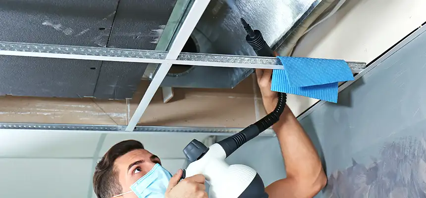 Our Air Duct Rodent Removal Services in Terrytown, LA