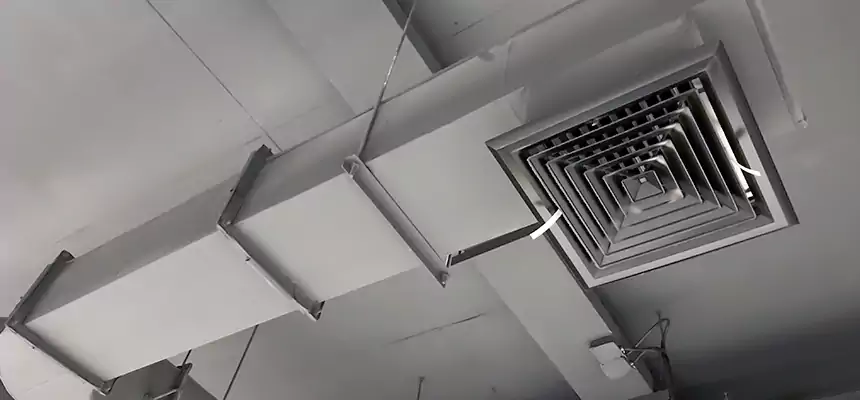 Our Pest Removal From Ducts Services in Terrytown, LA