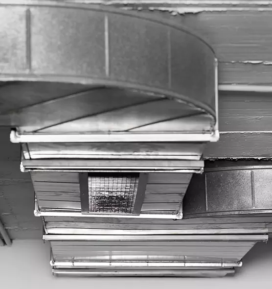 Professional Air Duct Pest Removal in Terrytown, LA