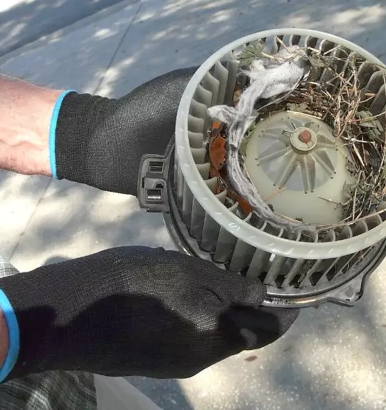 About Air Duct Rat Removal in Terrytown, LA