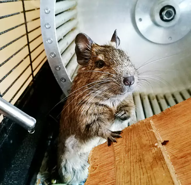 Why Homeowners & Businesses Trust Us Terrytown, LA