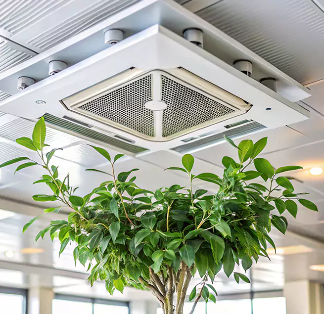 Why Homeowners & Businesses Trust Us in Terrytown, LA